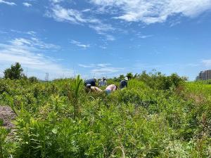 砂村ポケットエコスペース