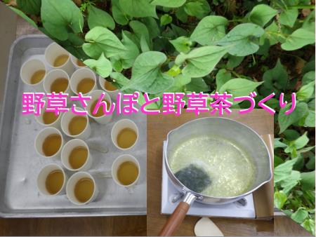 自然の恵みラボ「野草さんぽと野草茶づくり」