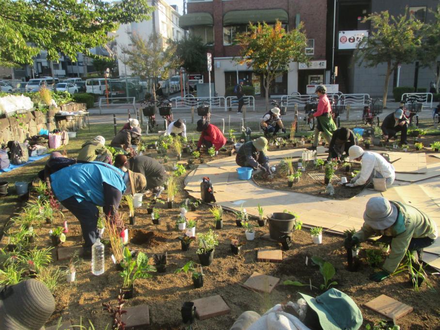 植え付けの様子