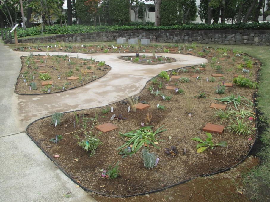 庁舎前のナチュラリスティックガーデン