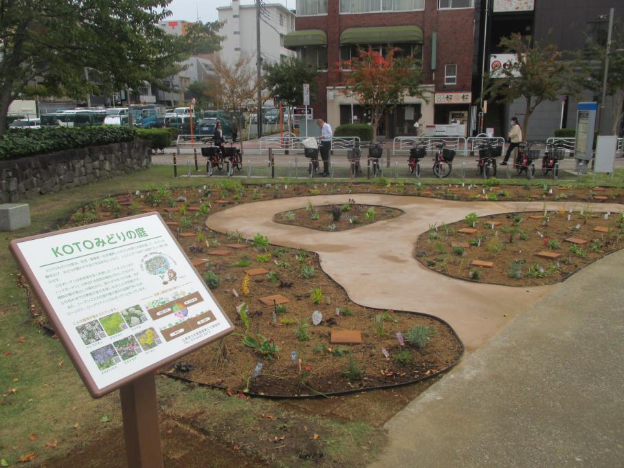 ナチュラリスティックガーデン庁舎前2