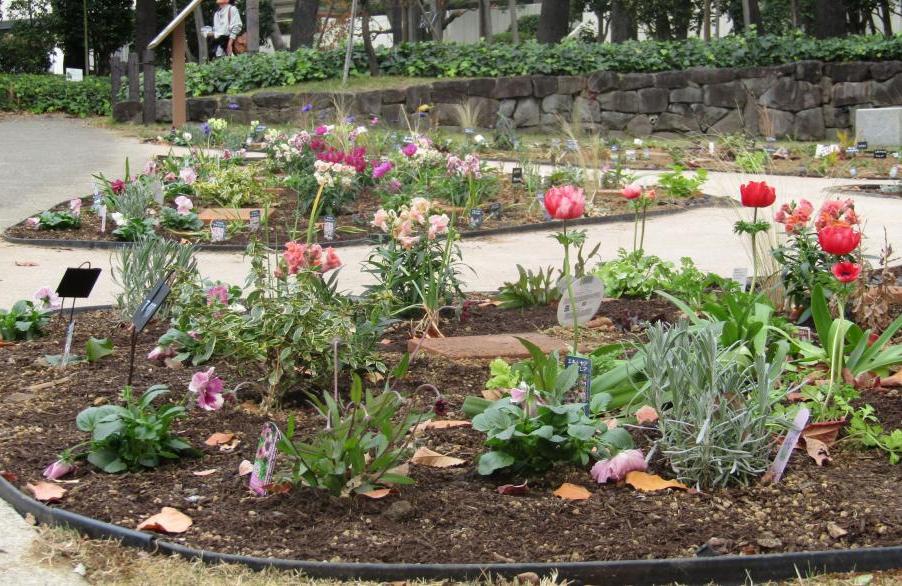 庁舎前のナチュラリスティックガーデン