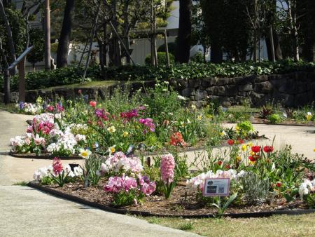 ナチュラリスティックガーデン