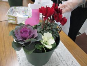 寄せ植えイメージ１