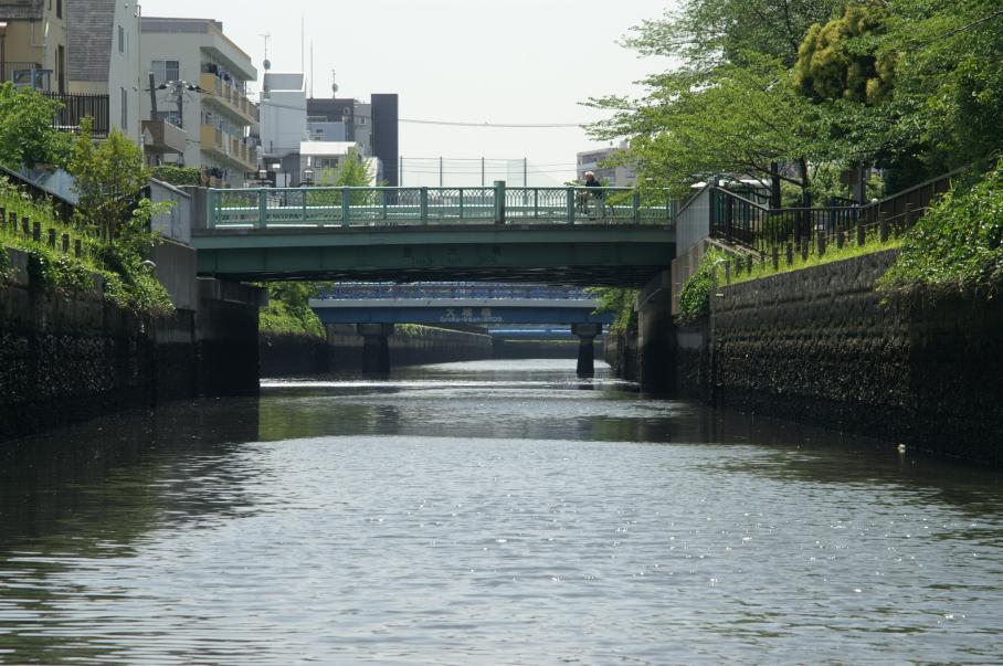 豊木橋