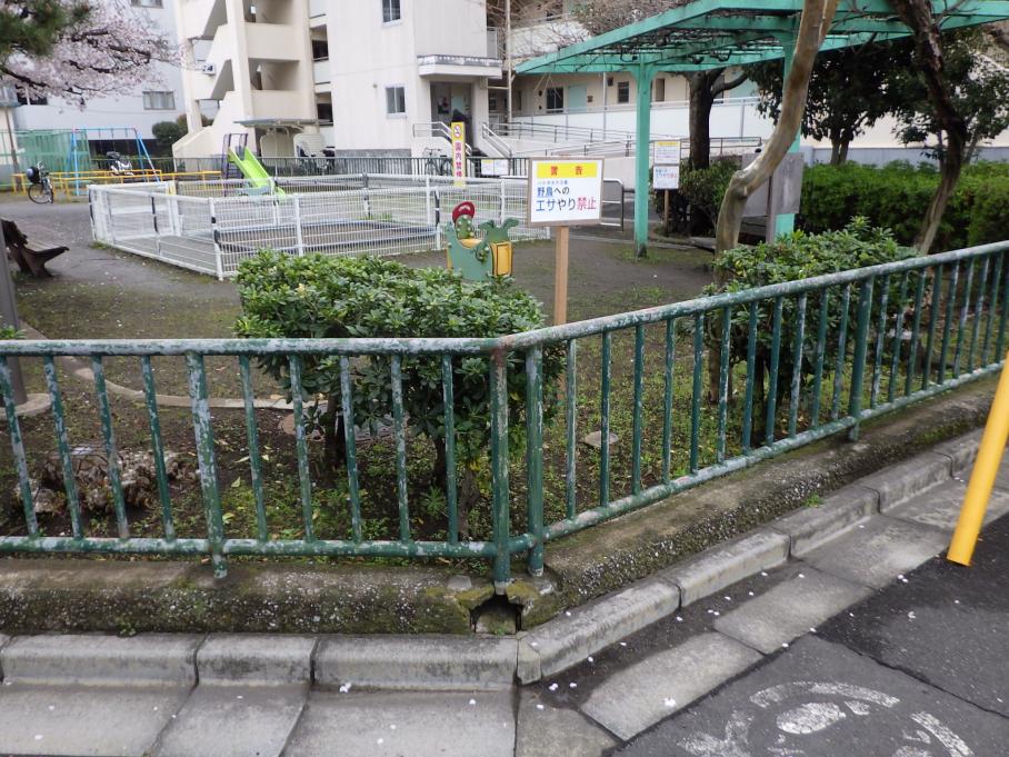 工事前写真4