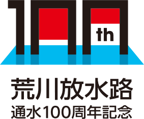 100logo