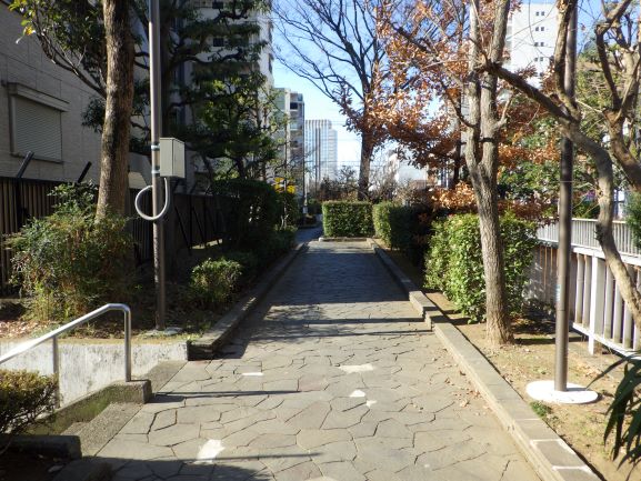 洲崎川緑道公園石張り舗装
