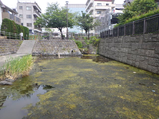 furuishiba2