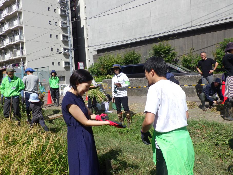 田んぼ区長稲刈り