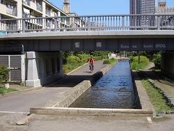 橋の下をくぐる園路