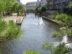 木場親水公園