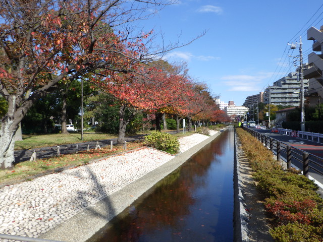 仙台堀川公園親水水路