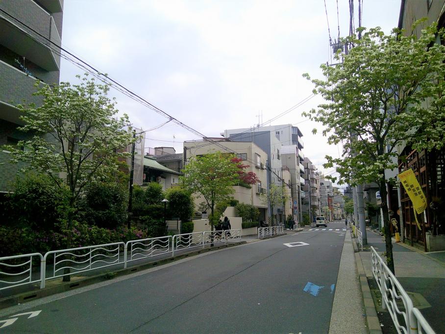 東陽五丁目の街路樹の様子