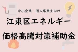 エネルギー価格高騰対策補助金
