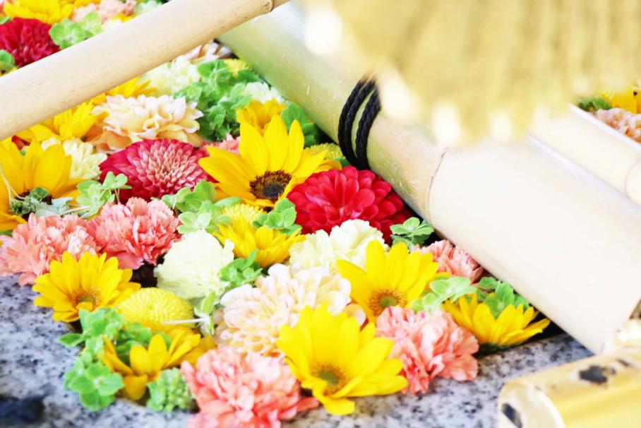 黄色いひまわりやサーモンピンクのカーネーション、オレンジのガーベラ等が浮かぶ富岡八幡宮の花手水