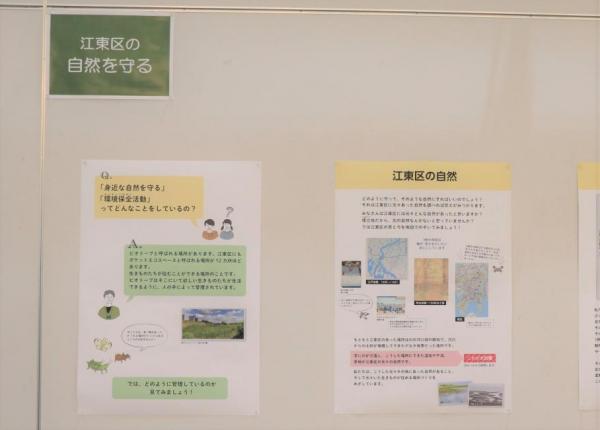 パネル展示