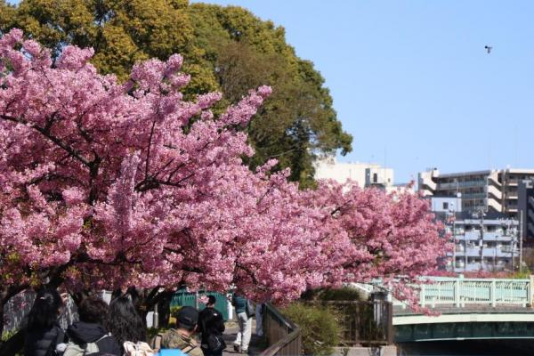 訪れた人が楽しんでいる様子