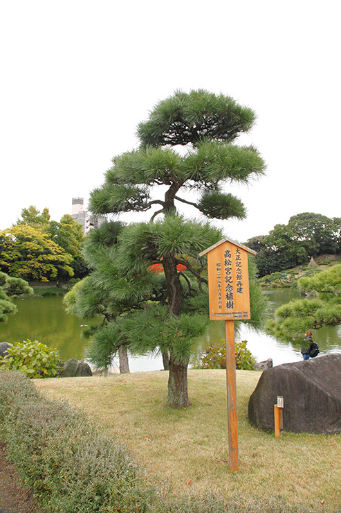 清澄庭園高松宮記念植樹