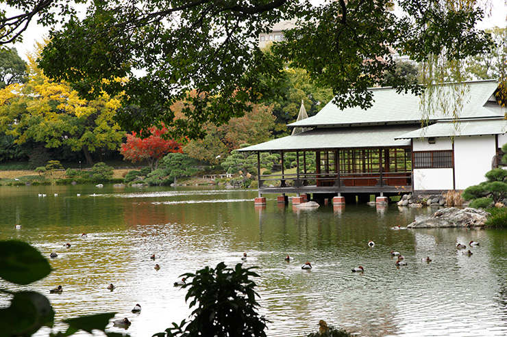 清澄庭園涼亭