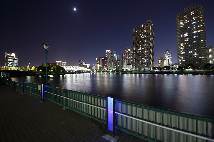 越中島公園から見た夜景