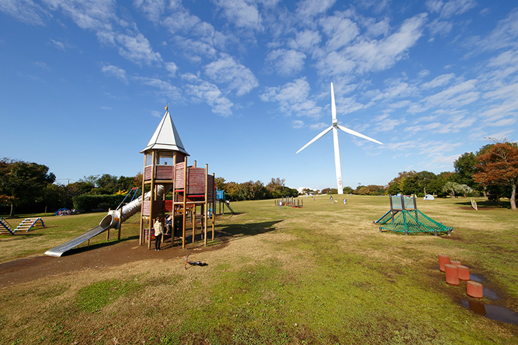 若洲公園キャンプ場3