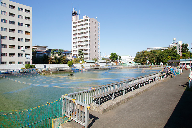 仙台堀川公園魚釣場