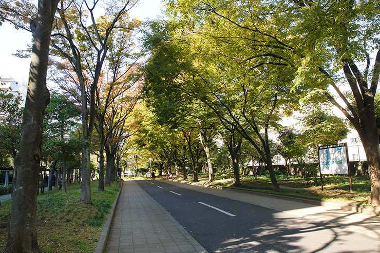 仙台堀川公園花の小径