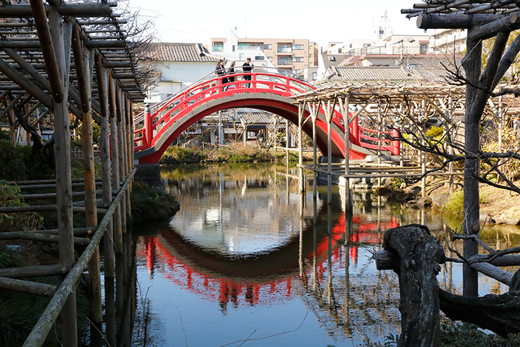 亀戸天神社太鼓橋