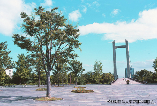 木場公園の写真