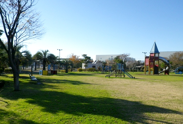 若洲公園の写真