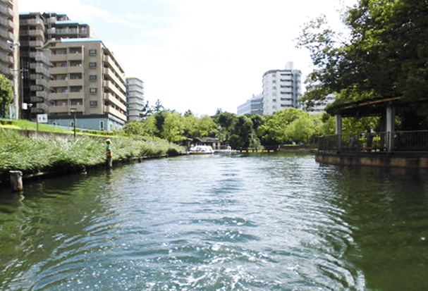横十間川親水公園の写真