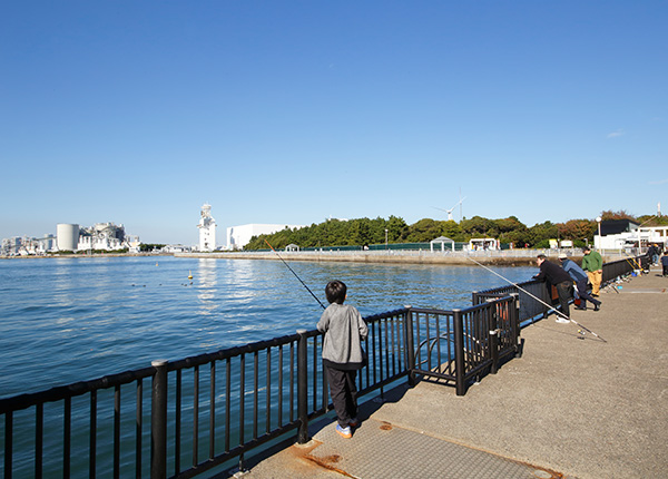 キャンプ場近くの海釣り施設の写真