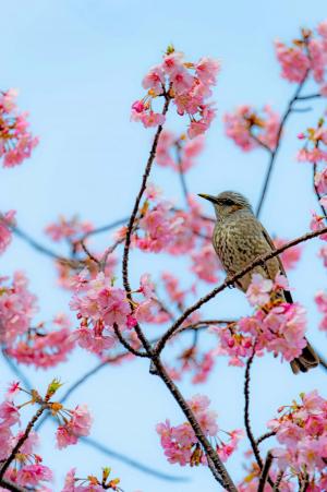 今日、春一番が吹いた