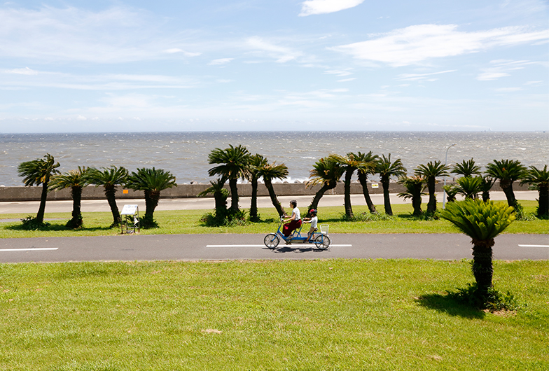 若洲海浜公園サイクリングコース