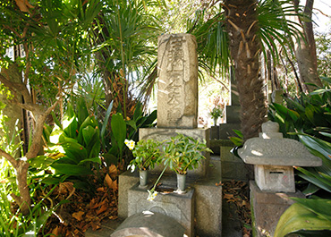 伊藤左千夫の墓の写真