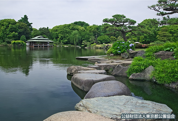 清澄庭園